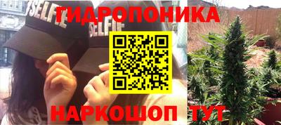 ешки Ставрополь