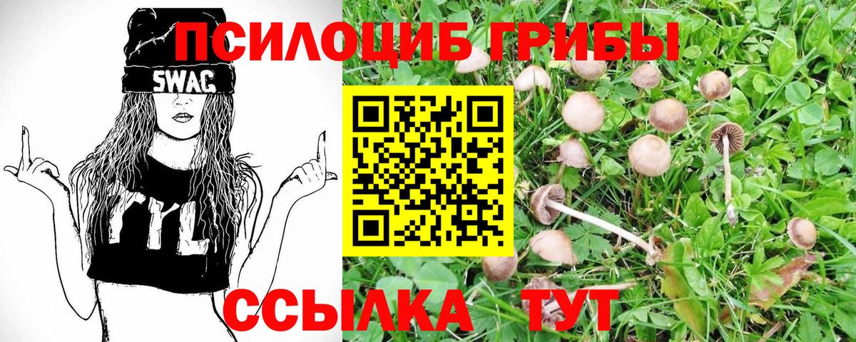 Псилоцибиновые грибы Magic Shrooms  Вход с VPN  Похвистнево 
