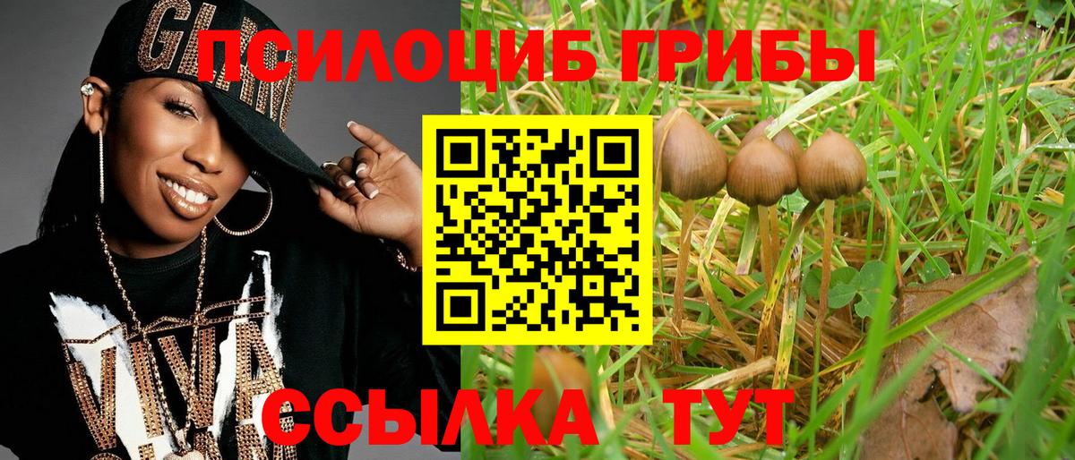 Галлюциногенные грибы Magic Shrooms Похвистнево